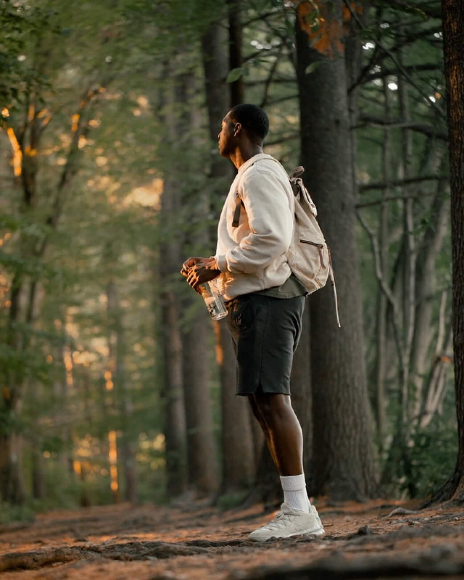 forêt