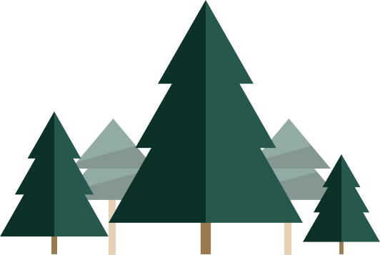 illustration d'arbres